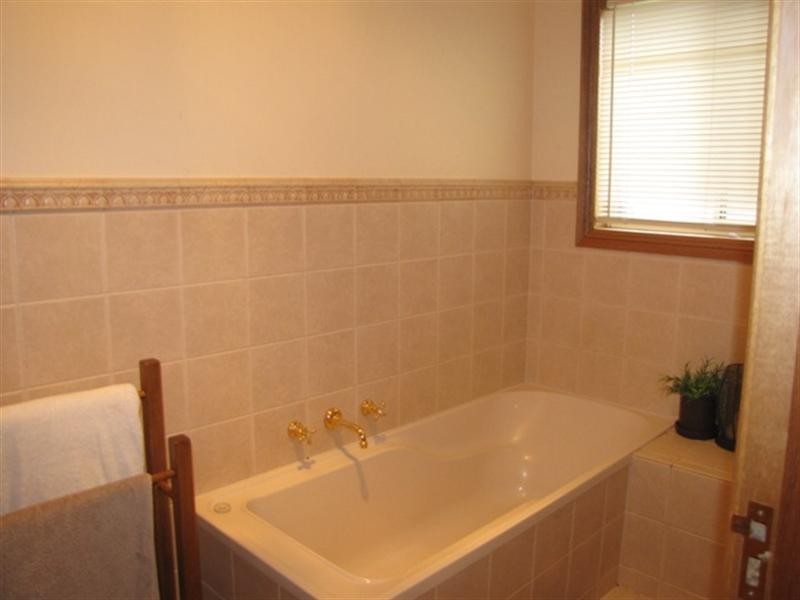 17 Anderson Street, Barmera SA 5345