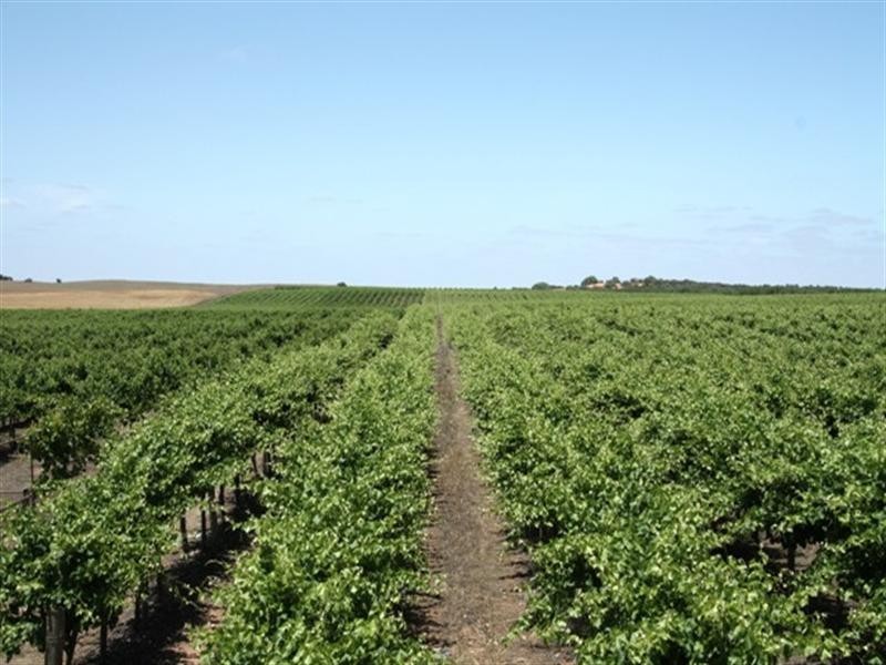 206, 214, 215 Hdrd of Nildottie, Swan Reach SA 5354