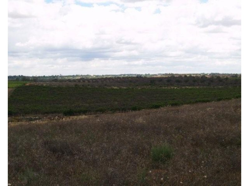 Lts 1, 3 and 4 Taylorville Road, Waikerie SA 5330