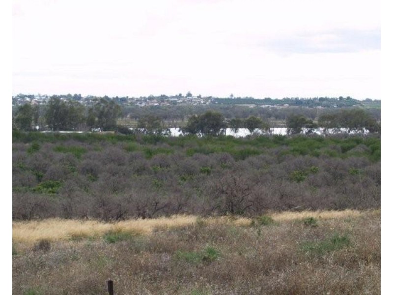 Lts 1, 3 and 4 Taylorville Road, Waikerie SA 5330