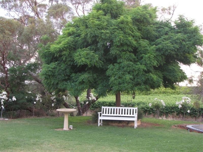 Sec 438 Distillery Road, Monash SA 5342