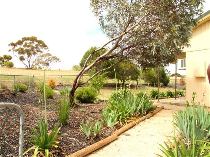 1 Queen Street, Loxton SA 5333