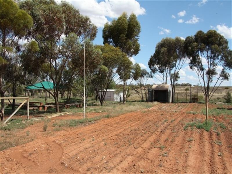 1276 Heinrich Road, Loxton SA 5333
