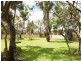 4 Lots on Railway Terrace, Wanbi SA 5310