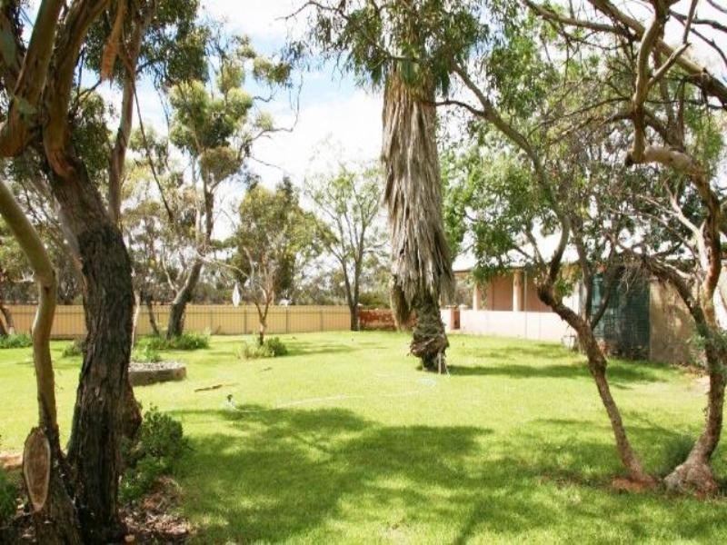 4 Lots on Railway Terrace, Wanbi SA 5310