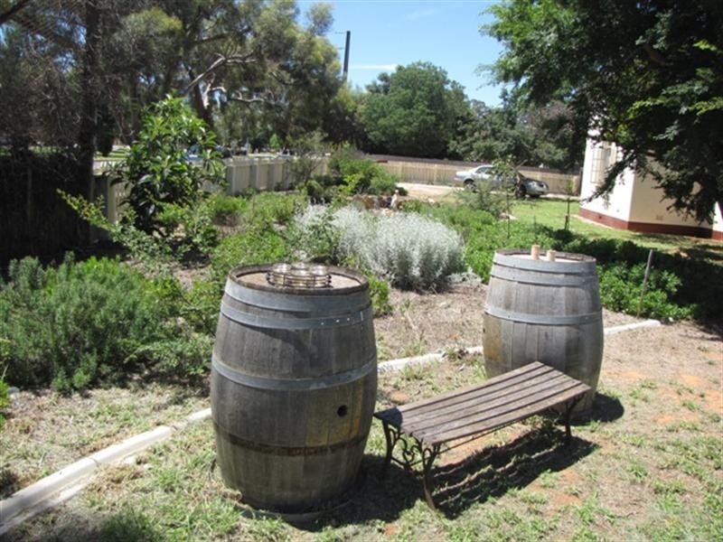 155 Ral Ral Avenue, Renmark SA 5341