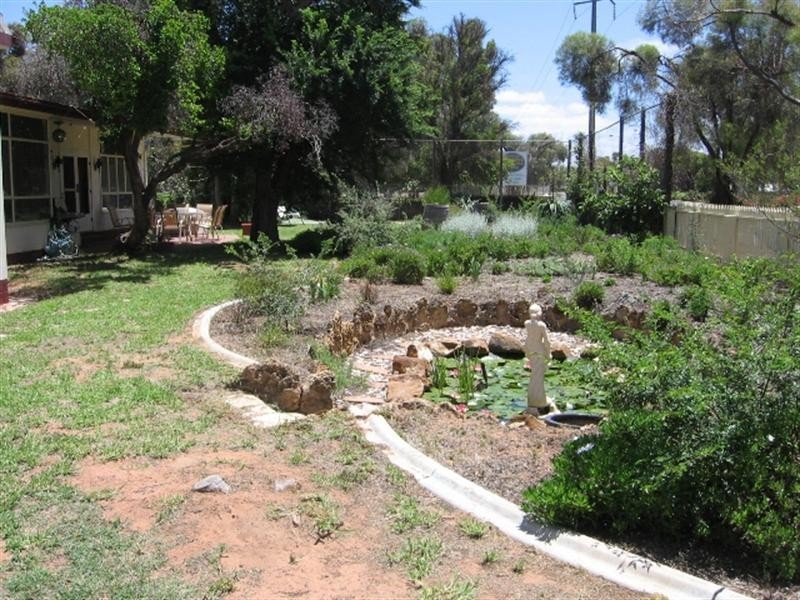 155 Ral Ral Avenue, Renmark SA 5341