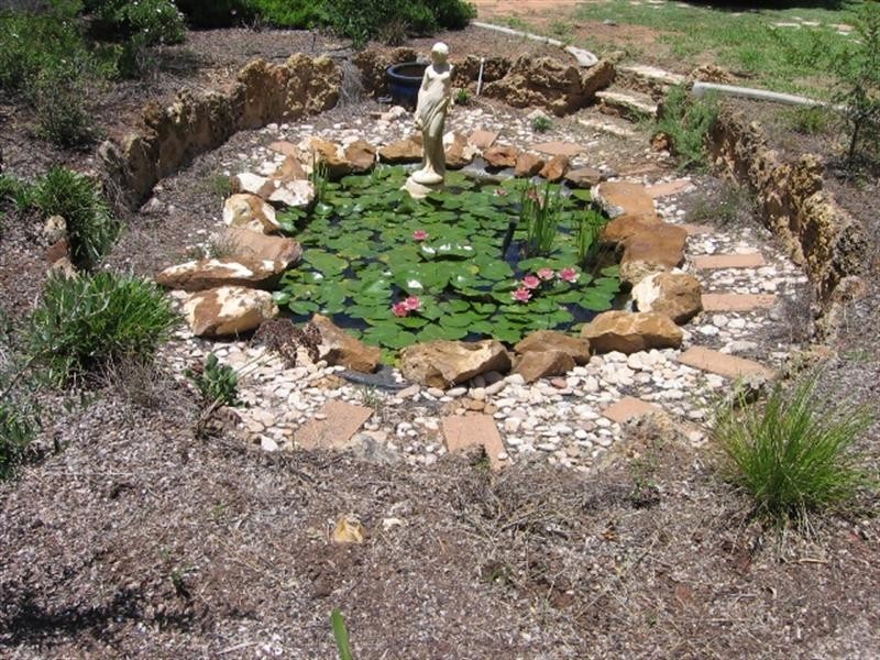 155 Ral Ral Avenue, Renmark SA 5341