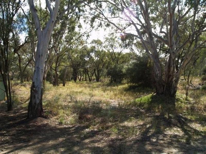 339 Old Punt Road, Paisley SA 5357