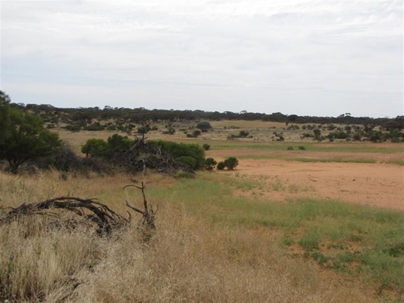 8 Rawnsley Road, Loveday SA 5345