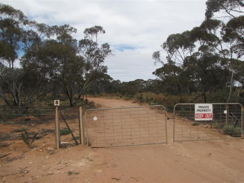 8 Rawnsley Road, Loveday SA 5345