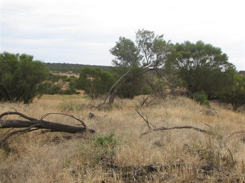 8 Rawnsley Road, Loveday SA 5345