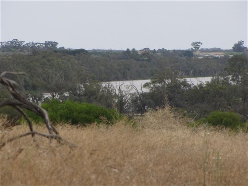 8 Rawnsley Road, Loveday SA 5345