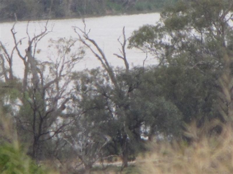 8 Rawnsley Road, Loveday SA 5345