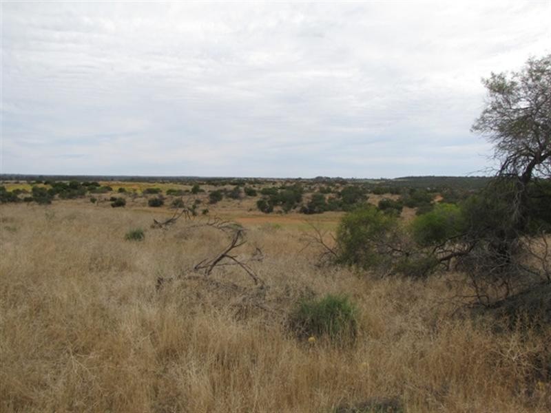 8 Rawnsley Road, Loveday SA 5345