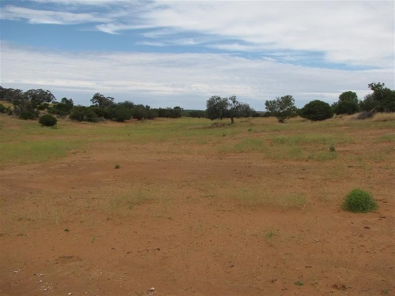 8 Rawnsley Road, Loveday SA 5345