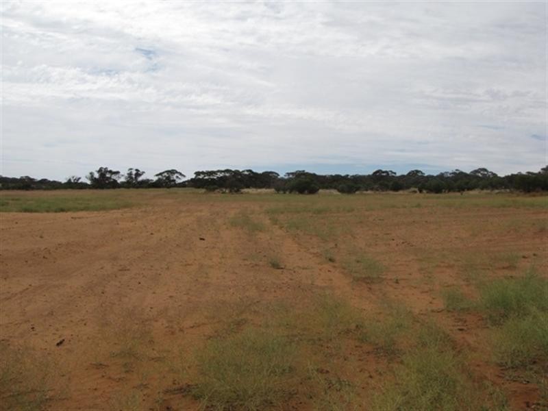 8 Rawnsley Road, Loveday SA 5345