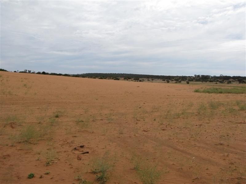 8 Rawnsley Road, Loveday SA 5345