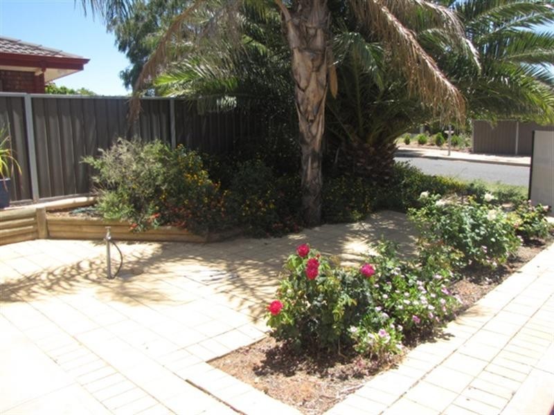 3b Hart Street, Berri SA 5343