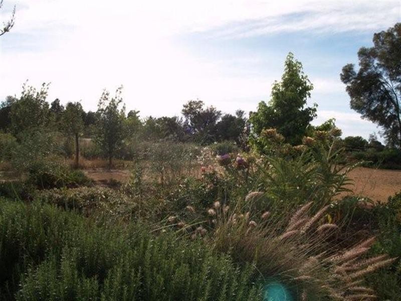 54 Dunk Road, Cadell SA 5321