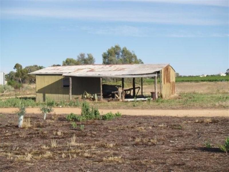 54 Dunk Road, Cadell SA 5321