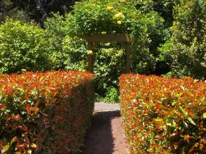 Lot 7 Kumnick Hill Road, Lenswood SA 5240