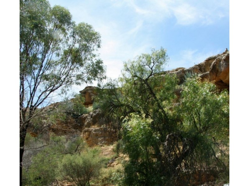 91 Government Road, Murbko SA 5320