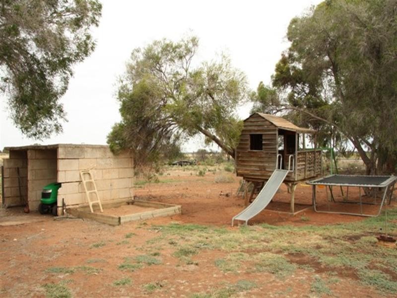 Lot 100 Devlins Pound Road, Waikerie SA 5330