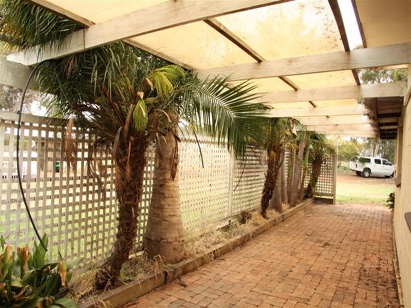 Lot 100 Devlins Pound Road, Waikerie SA 5330