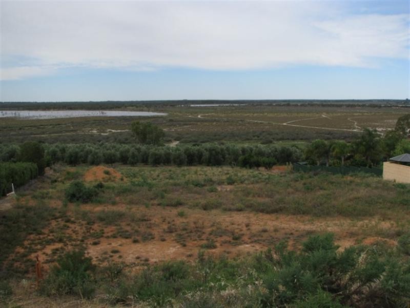 21 Fuller Road, Berri SA 5343