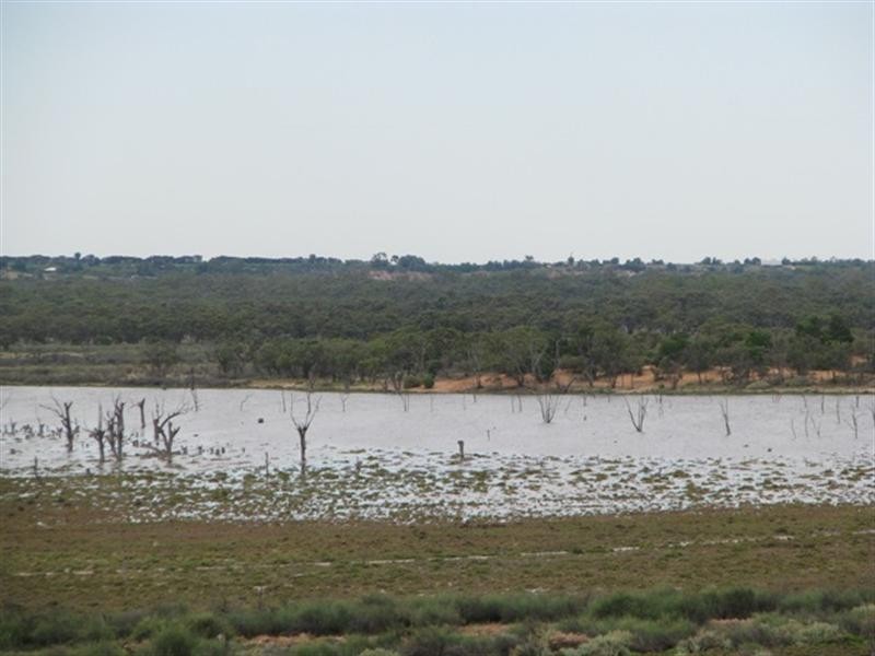 21 Fuller Road, Berri SA 5343