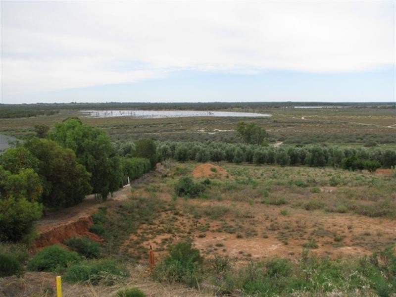 21 Fuller Road, Berri SA 5343