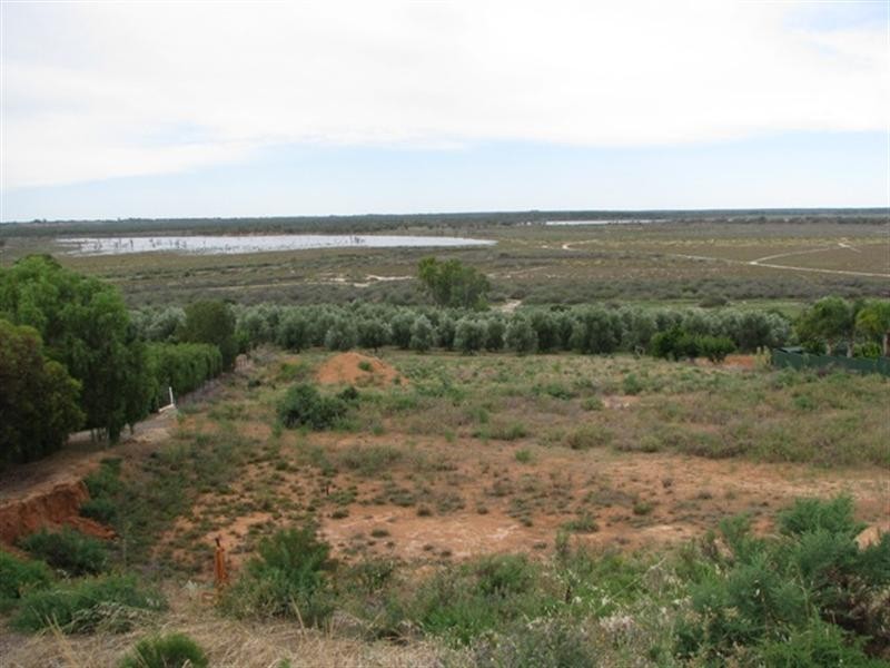 21 Fuller Road, Berri SA 5343