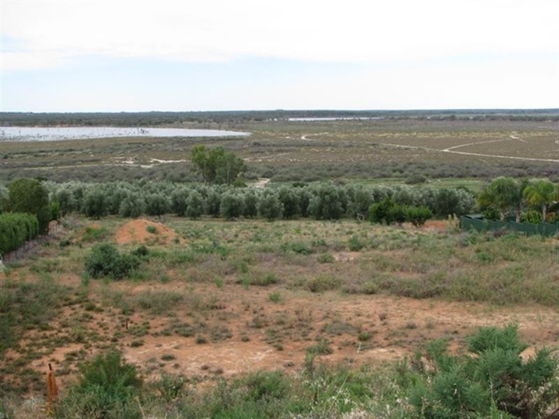 21 Fuller Road, Berri SA 5343