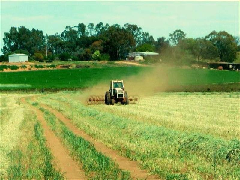 Lot 801 Hdrd of Gordon, Loxton SA 5333