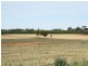 Lot 801 Hdrd of Gordon, Loxton SA 5333