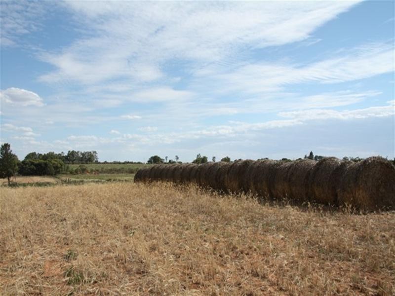 Lot 801 Hdrd of Gordon, Loxton SA 5333