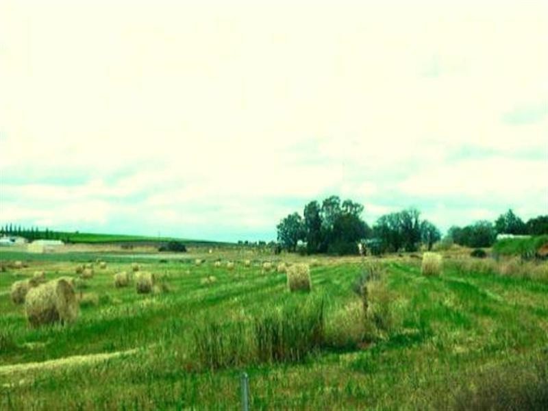 Lot 801 Hdrd of Gordon, Loxton SA 5333