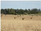 Lot 801 Hdrd of Gordon, Loxton SA 5333