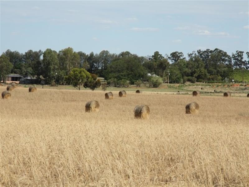 Lot 801 Hdrd of Gordon, Loxton SA 5333