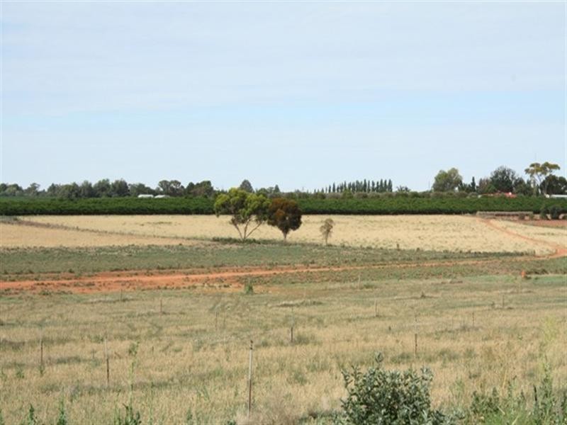 Lot 801 Hdrd of Gordon, Loxton SA 5333