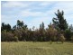 Lot 801 Hdrd of Gordon, Loxton SA 5333