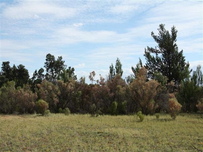 Lot 801 Hdrd of Gordon, Loxton SA 5333