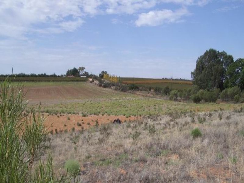 Lot 14 Fairweather Avenue, Loxton SA 5333
