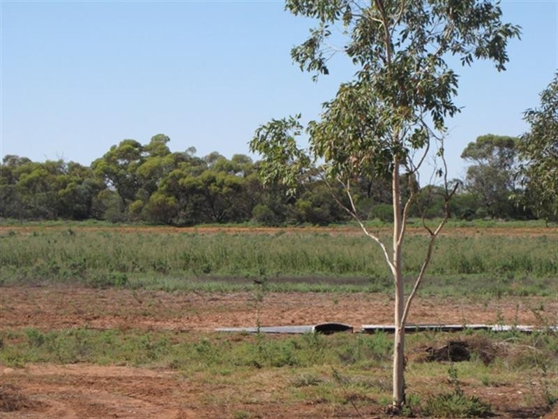 307 Hoskin Road, Berri SA 5343