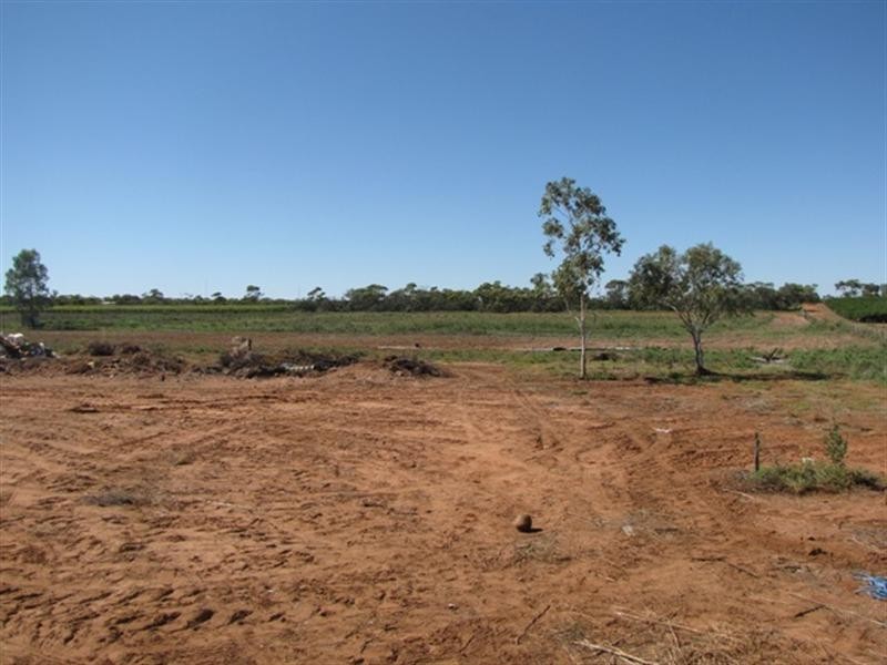 307 Hoskin Road, Berri SA 5343