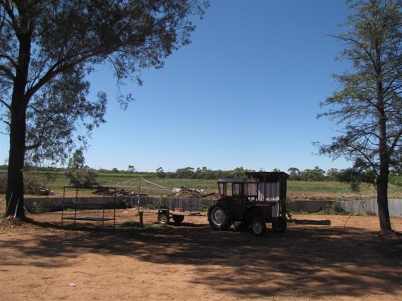 307 Hoskin Road, Berri SA 5343