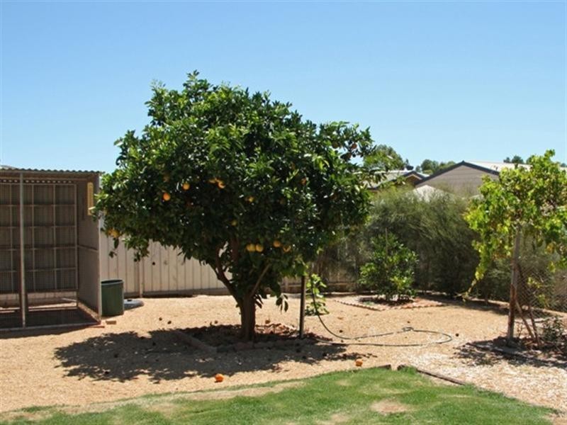 21 Barker Street, Loxton SA 5333