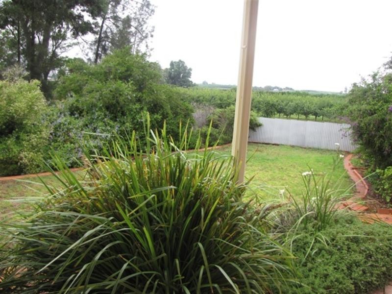 1743 Bookpurnong Road, Loxton SA 5333