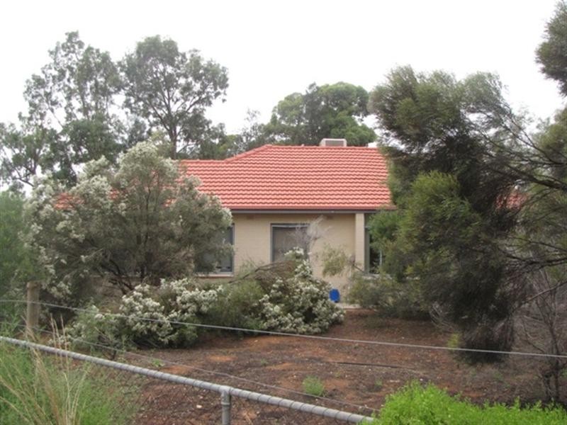 1743 Bookpurnong Road, Loxton SA 5333